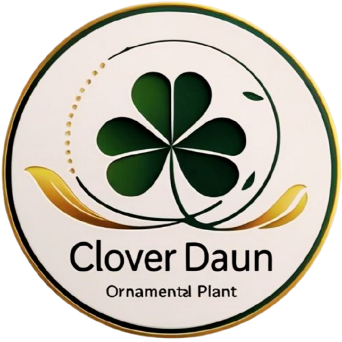 Clover Daun